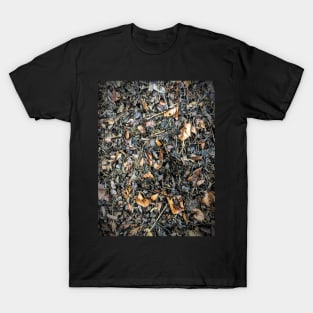 Autumnal warm rich compost T-Shirt